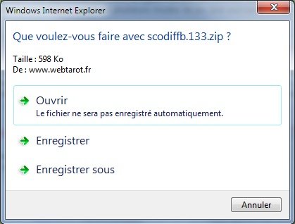 avec internet explorer